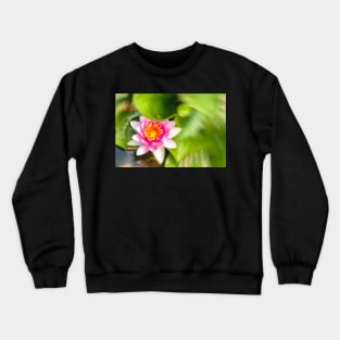 Red Waterlily Crewneck Sweatshirt